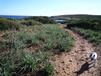 Camino de Porto Colom a Cala Murada